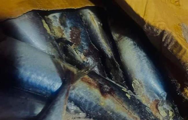 ضبط ٨ أطنان من الأسماك المجمدة مجهولة المصدر بالإسماعيلية