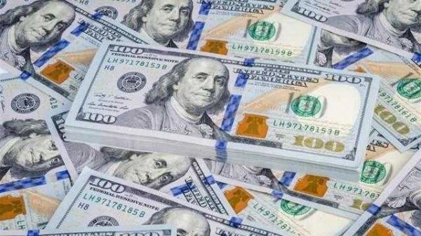سعر الدولار يوم الثلاثاء 14_6_2022 