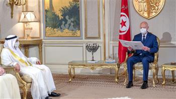  رئيسا الإمارات وتونس يبحثان هاتفيا سبل تعزيز التعاون المشترك