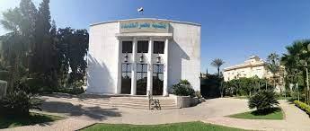 ندوة سينمائية حول أعمال الفنان حمدي السيد بمكتبة مصر الجديدة العامة.. الإثنين المقبل