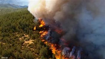   وصول طائرة إطفاء روسية لمكافحة حرائق الغابات فى الجزائر