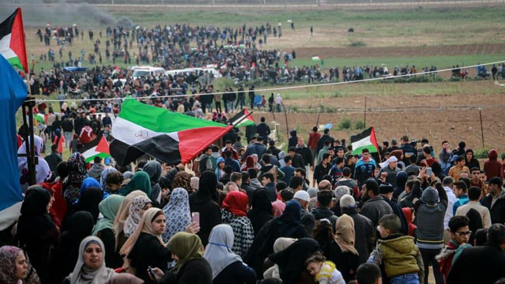 مفتي القدس: مصر أرض الكنانة وقدمت الكثير للقضية الفلسطينية