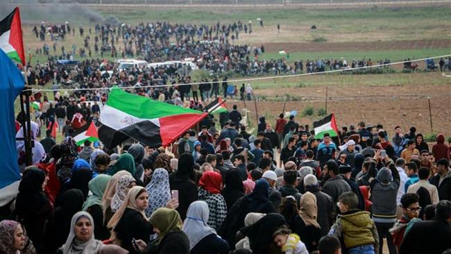 مفتي القدس: مصر أرض الكنانة وقدمت الكثير للقضية الفلسطينية