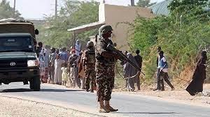   الجيش الصومالي يقتل 60 عنصرا من حركة «الشباب» الإرهابية