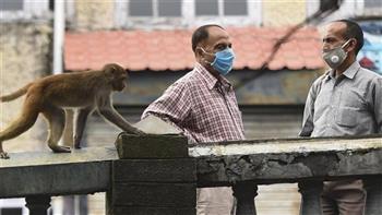   بريطانيا: ارتفاع إصابات "جدري القرود" إلى 574 حالة