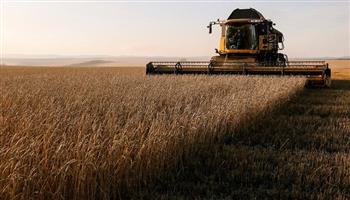  أوكرانيا: انخفاض حاد في محصول الحبوب بسبب الغزو الروسي 