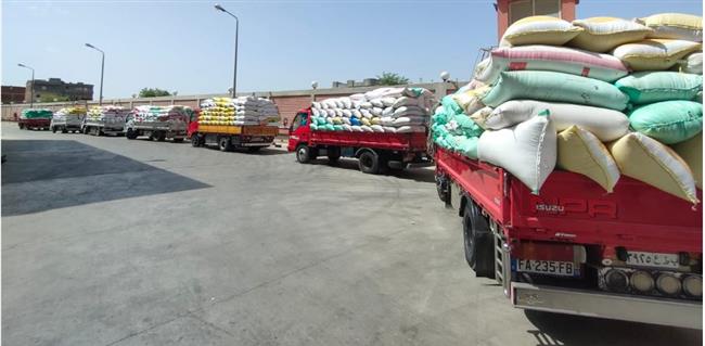 محافظ البحيرة: توريد  344 ألف طن قمح لشون وصوامع المحافظة
