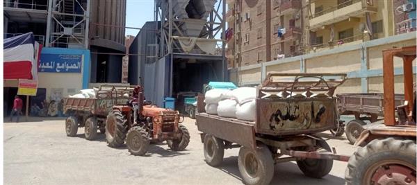 محافظ الفيوم: توريد 145329 طناً من الأقماح بشون وصوامع المحافظة