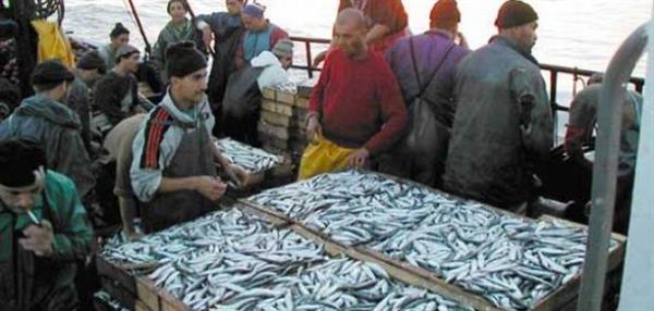 موريتانيا تسمح لسفن جزائرية بصيد الأسماك في شواطئها