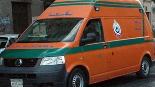 «البسبوسة» تصيب 5 أطفال بـ«التسمم» في سوهاج