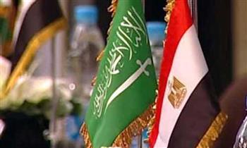   التبادل التجارى بين مصر والسعودية يقفز بنسبة 62.1% خلال عام 2021