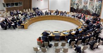   مجلس الأمن يدين الهجوم على بعثة الأمم المتحدة في مالي