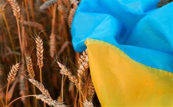   روسيا: مستعدون للمساعدة فى تصدير الحبوب من أوكرانيا