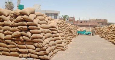 محافظ بنى سويف: استلام 229 ألفا و288 طنا من القمح المحلى بالصوامع والشون