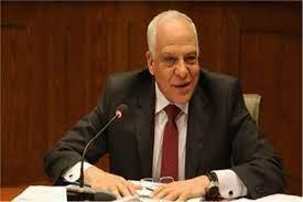 محافظ الجيزة: رفع 9 آلاف طن مخلفات صلبة بطريق برطس المنصورية 