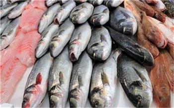 استقرار أسعار الأسماك في سوق العبور