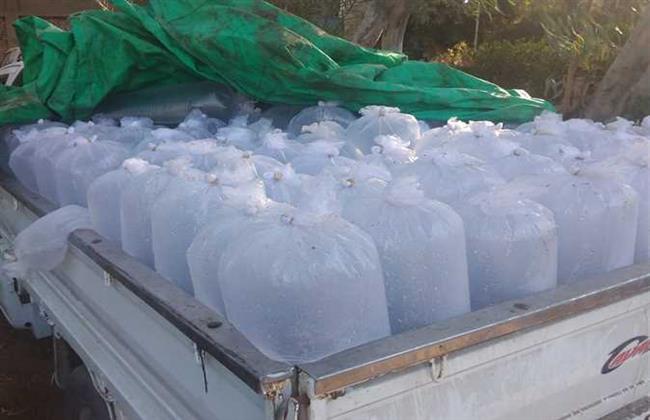 ضبط 700 وحدة زريعة سمك طوبار بكفر الشيخ لم يصرح بنقلها