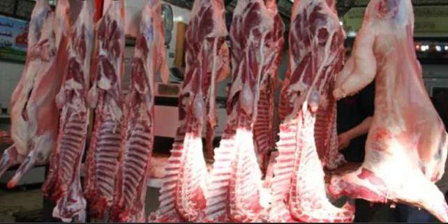 وزير التموين: طرح كيلو اللحوم الضاني بسعر 130 جنيها بمناسبة عيد الأضحى
