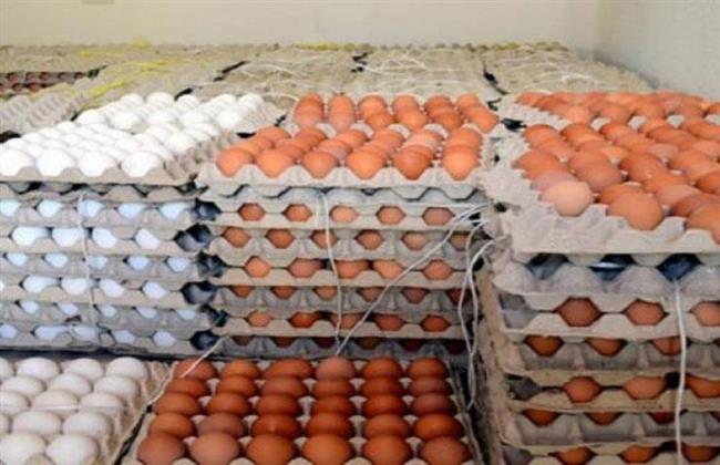 "شعبة الدواجن" : 65 جنيه سعر طبق البيض هو سعر عادل لمربي الدواجن 