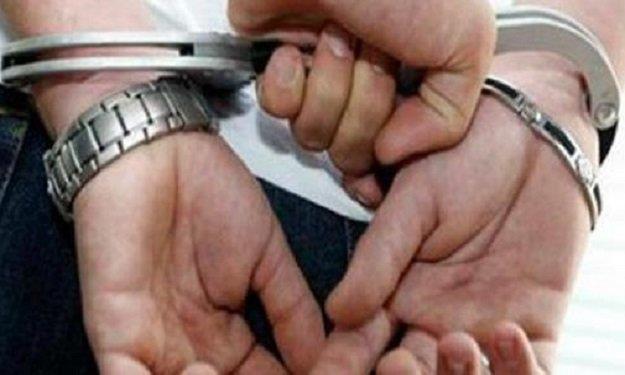 بـ 72 طربة حشيش.. سقوط 3 عناصر إجرامية فى الدقهلية  