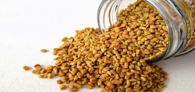 تعرف على فوائد الحلبة في زيادة الوزن