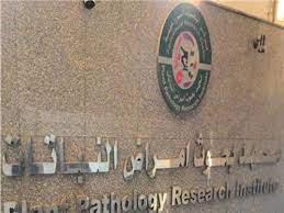 معهد بحوث أمراض النبات يبتكر طرق بديلة وآمنة لتقليل تكاليف مدخلات الإنتاج