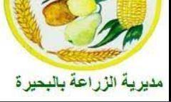 وكيل وزارة الزراعة بالبحيرة يرفع الحالة القصوى بمناسبة عيد الأضحى المبارك 