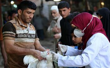 العراق ينفي تسجيل إصابات بسلالة شديدة العدوى من إنفلونزا الطيور
