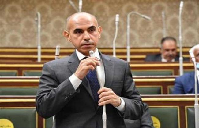 أمين سر "دفاع النواب": ثورة 30 يونيو جسدت مفهوم الأمن القومي المصري