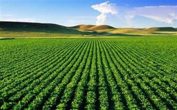   «الإرشاد الزراعي» ينظم 20 ندوة في 13 محافظة على مستوى الجمهورية