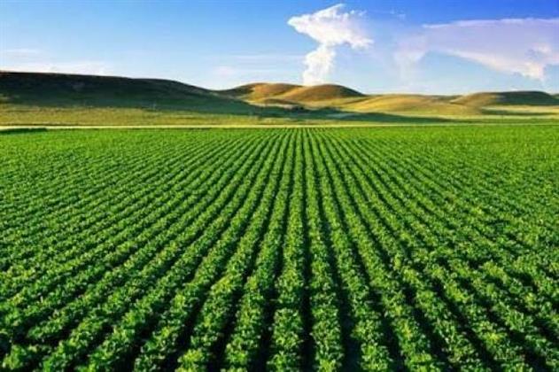 «الإرشاد الزراعي» ينظم 20 ندوة في 13 محافظة على مستوى الجمهورية