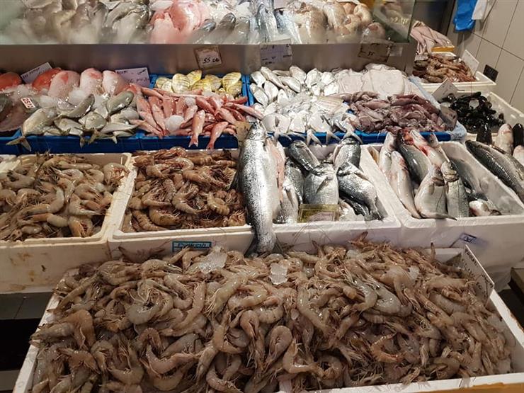 استقرار أسعار الأسماك بالأسواق في تعاملات اليوم بسوق الجملة