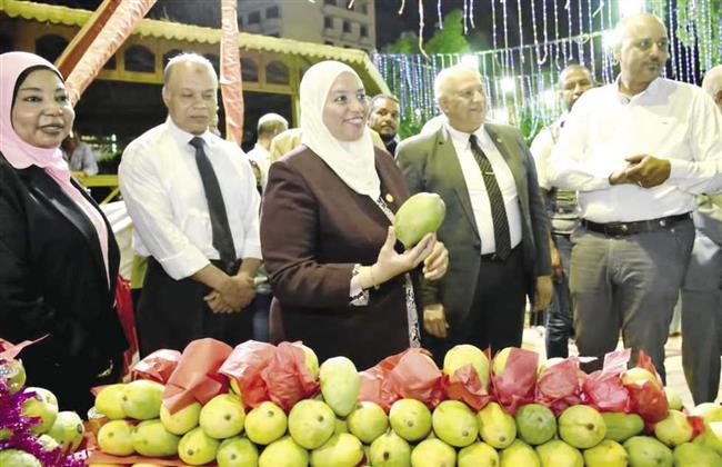 أسوان تبدأ استعداداتها لتنظيم مهرجان المانجو 2022
