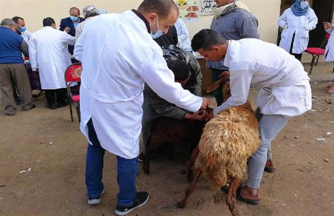  اختتام أعمال القافلة الطبية البيطرية في إسنا
