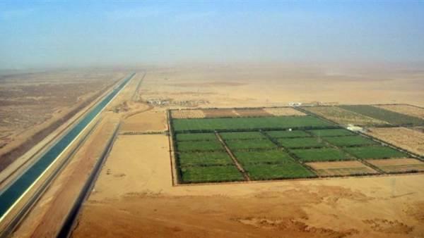 الزراعة: نرزع فى 10 ملايين فدان من أصل240 واستصلاح الصحراء يكلف الكثير
