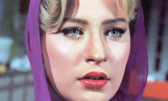  بعد غياب 12 سنة.. شيرين سيف النصر تعود للتمثيل