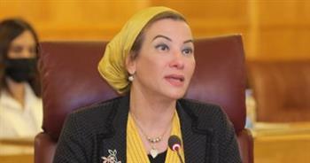 "البيئة" تعلن اليوم مدينة الخارجة أول مدينة خضراء