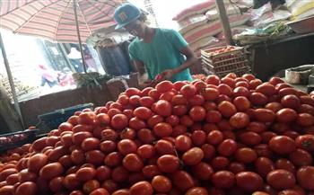   انخفاض كبير في أسعار الطماطم اليوم بالأسواق 