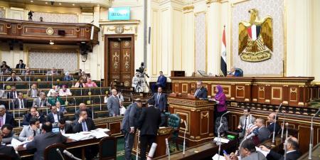 خطة البرلمان: تخفيض الجمارك على 74 من مدخلات الإنتاج.. فيديو