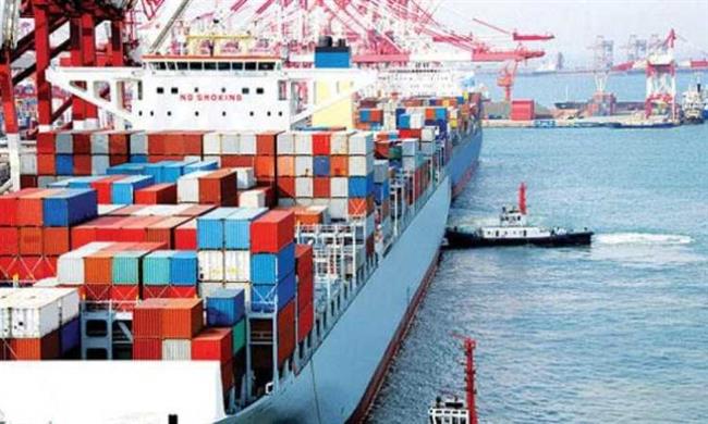 بدء تصدير العنب من ميناء دمياط إلى أوروبا