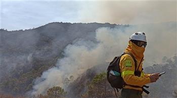   إجلاء أكثر من 3000 شخص بسبب حرائق الغابات فى جنوب إسبانيا