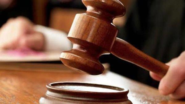 الجنايات تلزم متهمى «اعتصام النهضة» بدفع 39 مليون جنيه لحديقتى الحيوان والأورمان