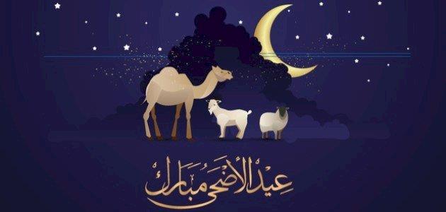 تعرف على أفلام عيد الأضحى 2022