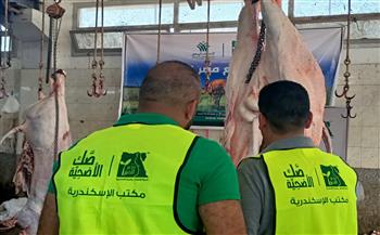   مصر الخير تذبح 72 عجلًا في أول أيام عيد الأضحى بالبحيرة