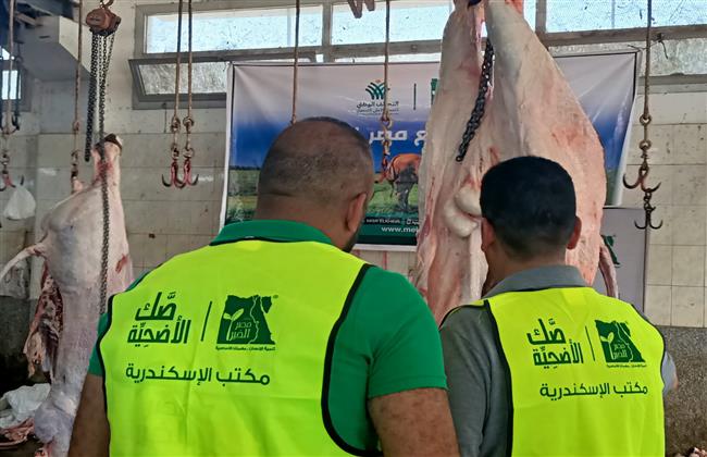 مصر الخير تذبح 72 عجلًا في أول أيام عيد الأضحى بالبحيرة