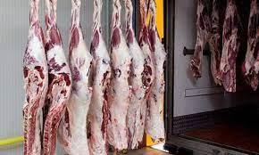 الإسكندرية: تحصيل 147.5 ألف جنيه من محلات جزارة وشوادر مخالفة بحي وسط