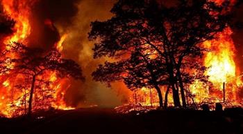   الاتحاد الأوروبي يُعبئ أسطول مكافحة حرائق الغابات لمساعدة البرتغال