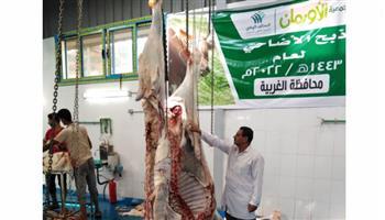 محافظ الغربية يتابع عمليات ذبح الأضاحي بالمجان بمجازر المحافظة