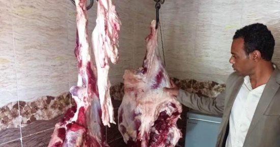 بيطرى أسوان يضبط طنى لحوم فاسدة خلال عيد الأضحى