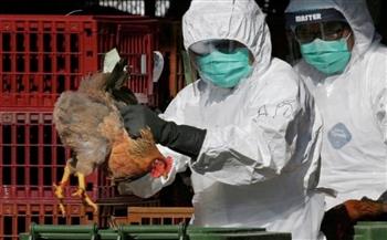   الصين تنجح في تحديد أصل وتطور فيروس انفلونزا الطيور في العالم